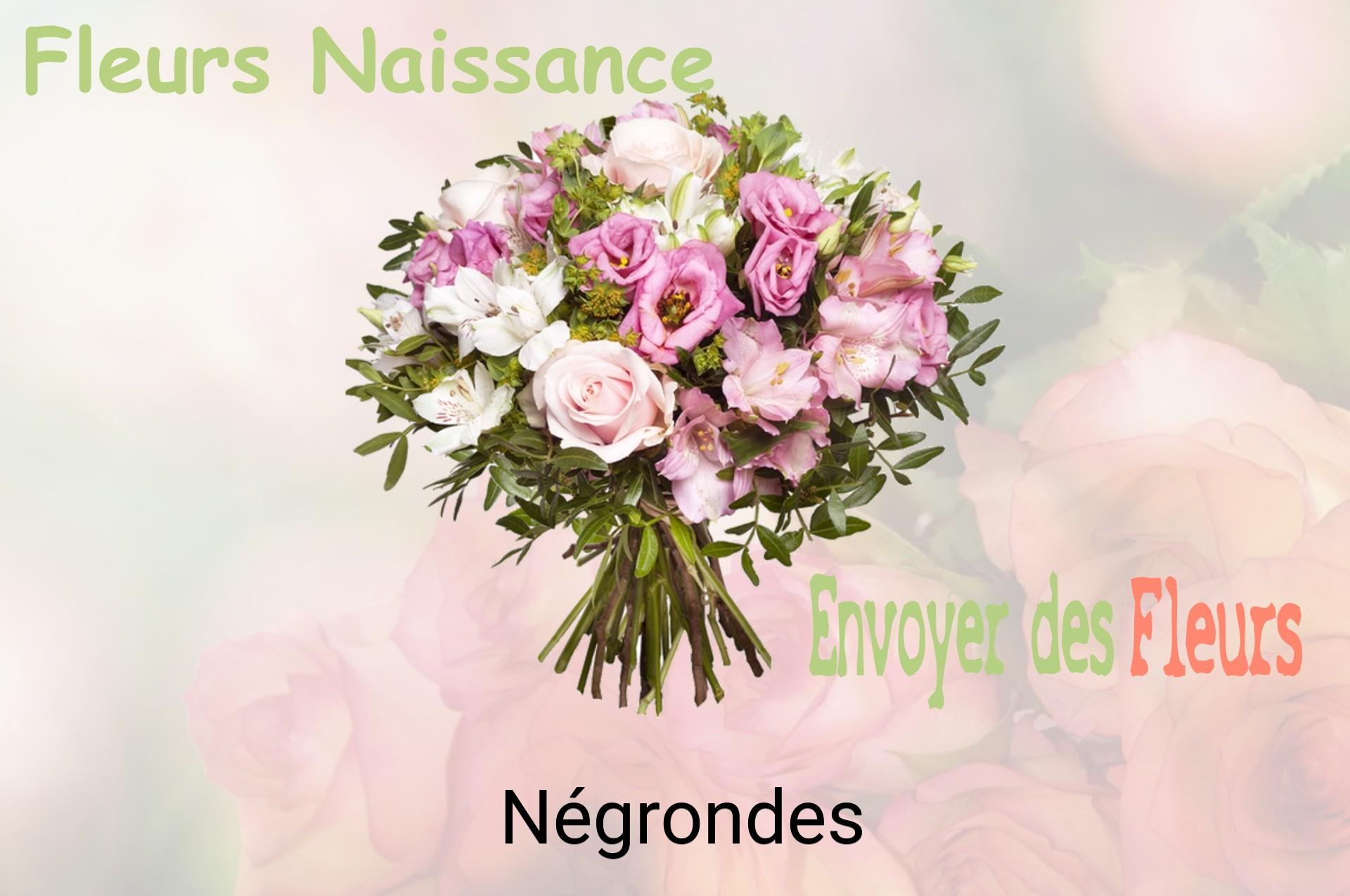 Bouquet de fleurs de naissance livré à Négrondes